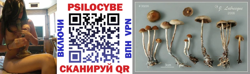 наркошоп маркетплейс какой сайт Псилоцибиновые грибы Psilocybine cubensis Няндома